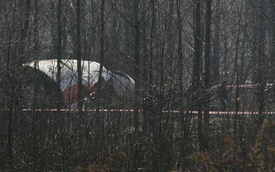 Las niedaleko lotniska - 4 godziny i 3 minuty po rozbiciu się prezydenckiego Tu-154