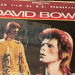 Kosmiczny Ziggy Stardust, jedno z wcieleń Davida Bowiego