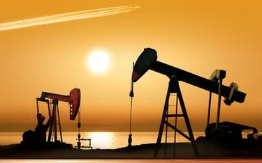 OPEC nie zwalnia tempa pracy pomp