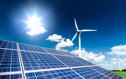 Raport : 2021 rekordowym rokiem dla energii odnawialnej