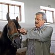 - To dobro narodowe - mówi o Pianissimie prezes janowskiej stadniny Marek Trela. Ta niepozorna klacz