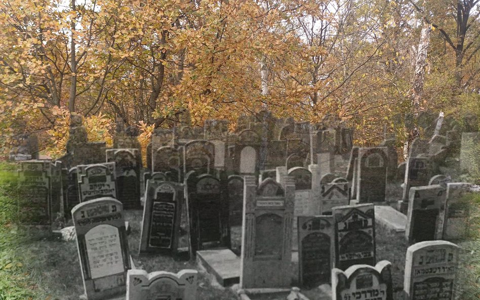 Montaż zdjęcia współczesnego i archiwalnego z lat 50. XX w. Dziś na cmentarzu w Sochaczewie pozostał