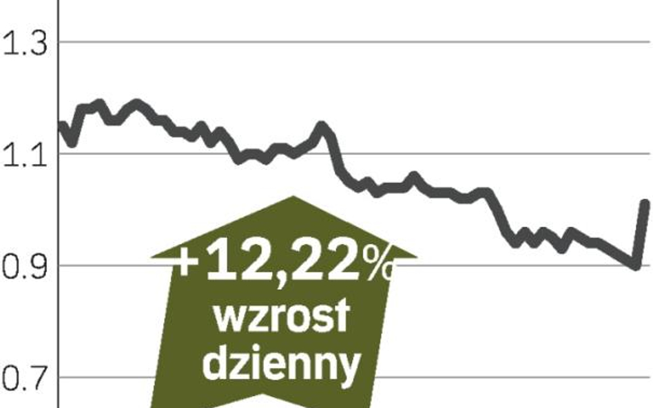 Europejski Fundusz Hipoteczny – spółka, o której się mówi w Warszawie