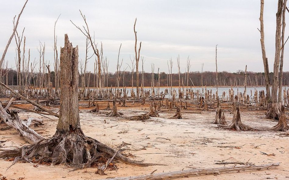 10 rodzin pozywa Unię Europejską za zmiany klimatyczne