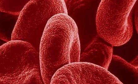 Komórki krwi z probówek