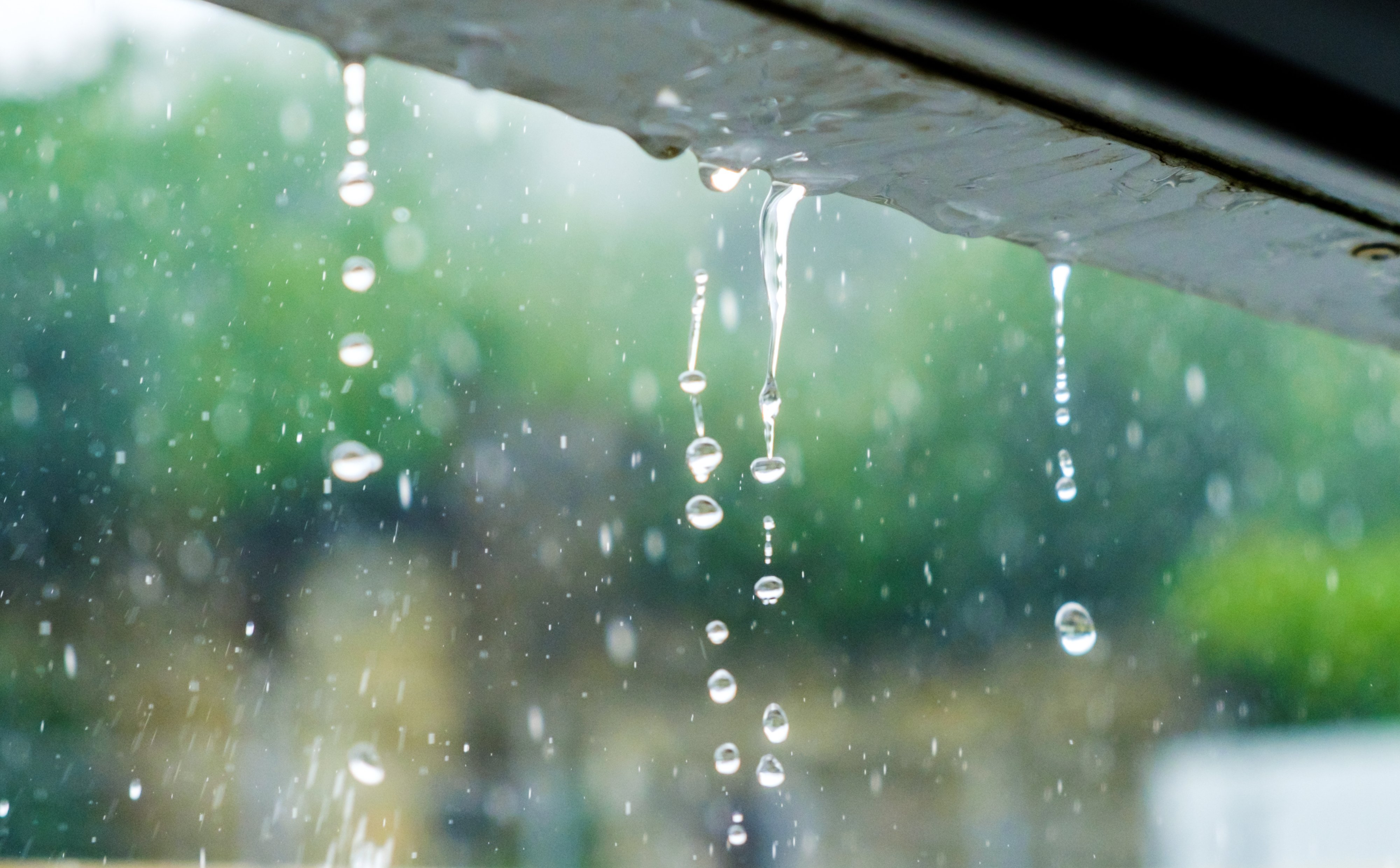 Deszczówka w mieście się przyda. „To zasób, a nie ściek”