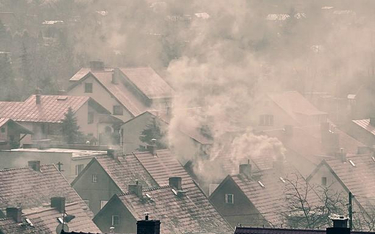 W Polsce jakość powietrza jest zła, wiele miast widnieje na liście WHO miejsc z najbardziej zanieczy