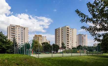 MZN Property: Rusza nowa platforma