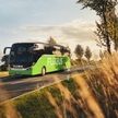 FlixBus reaktywuje połączenia. Na początek ponad 30 tras
