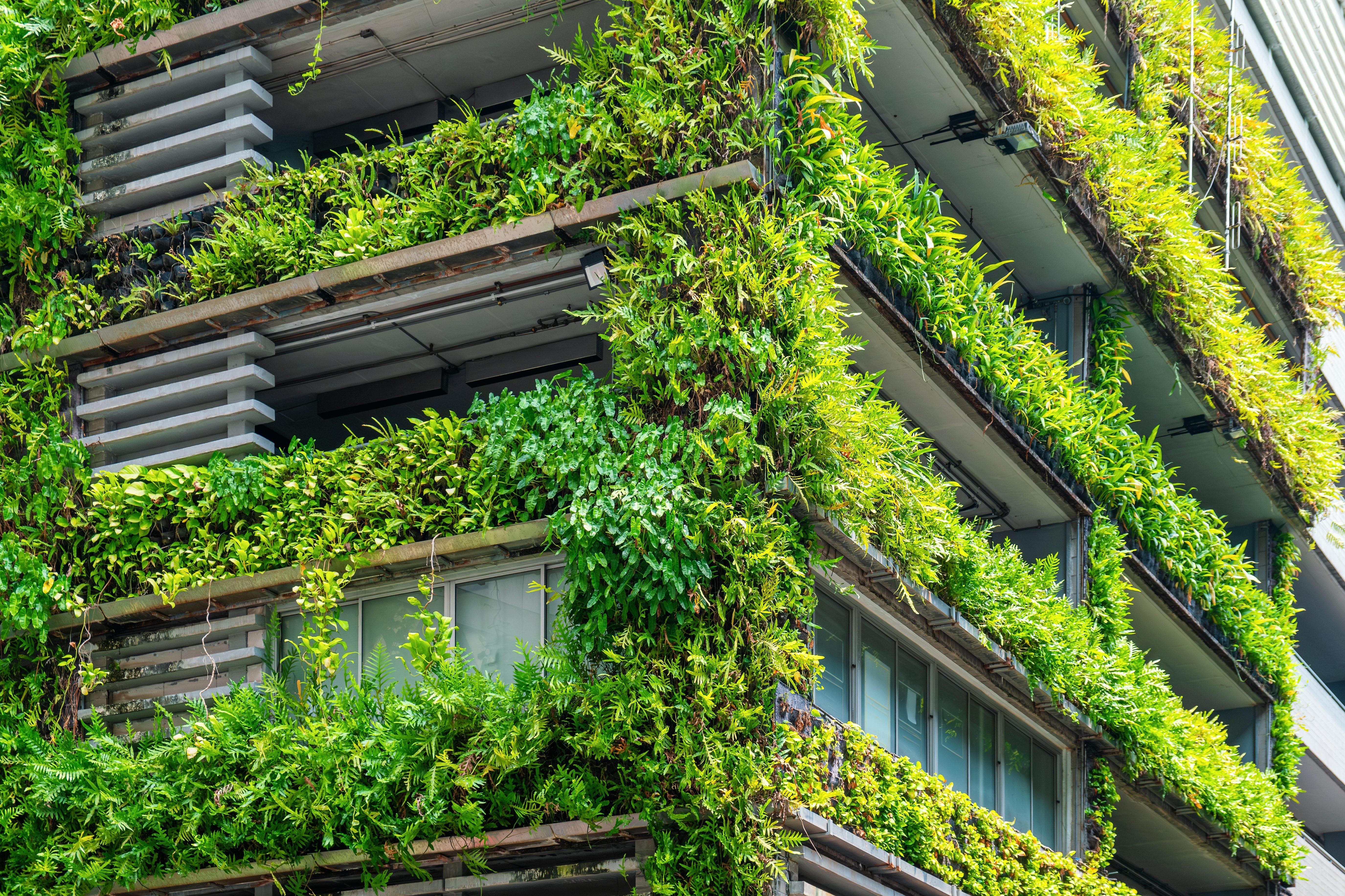 Przezorny zawsze zrównoważony