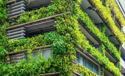 Bastionem zielonego budownictwa była dotychczas Europa: tu wybudowano około 40 proc. zrównoważonych 