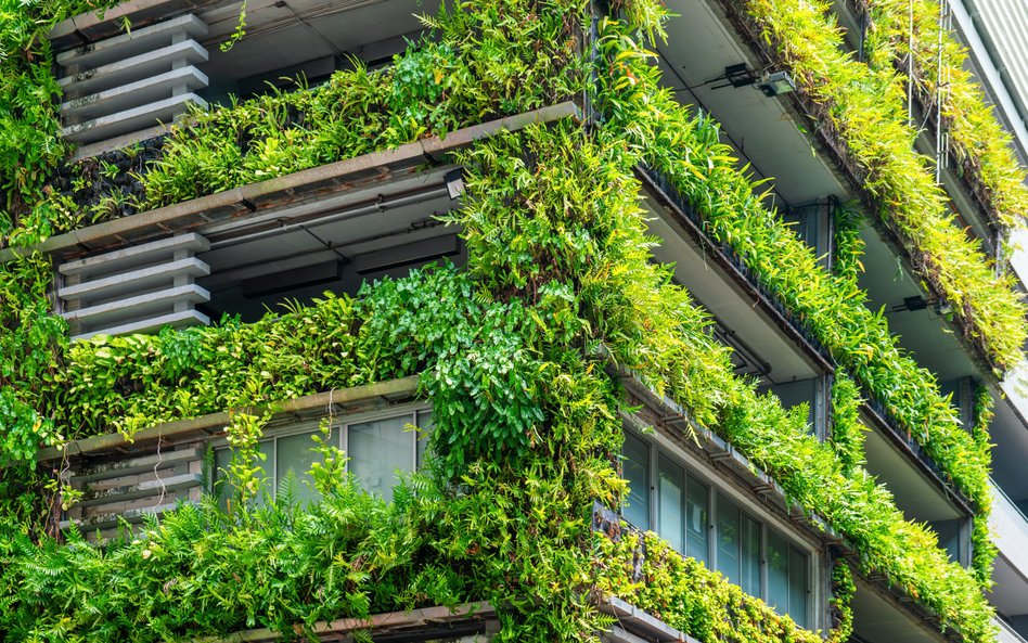 Bastionem zielonego budownictwa była dotychczas Europa: tu wybudowano około 40 proc. zrównoważonych 