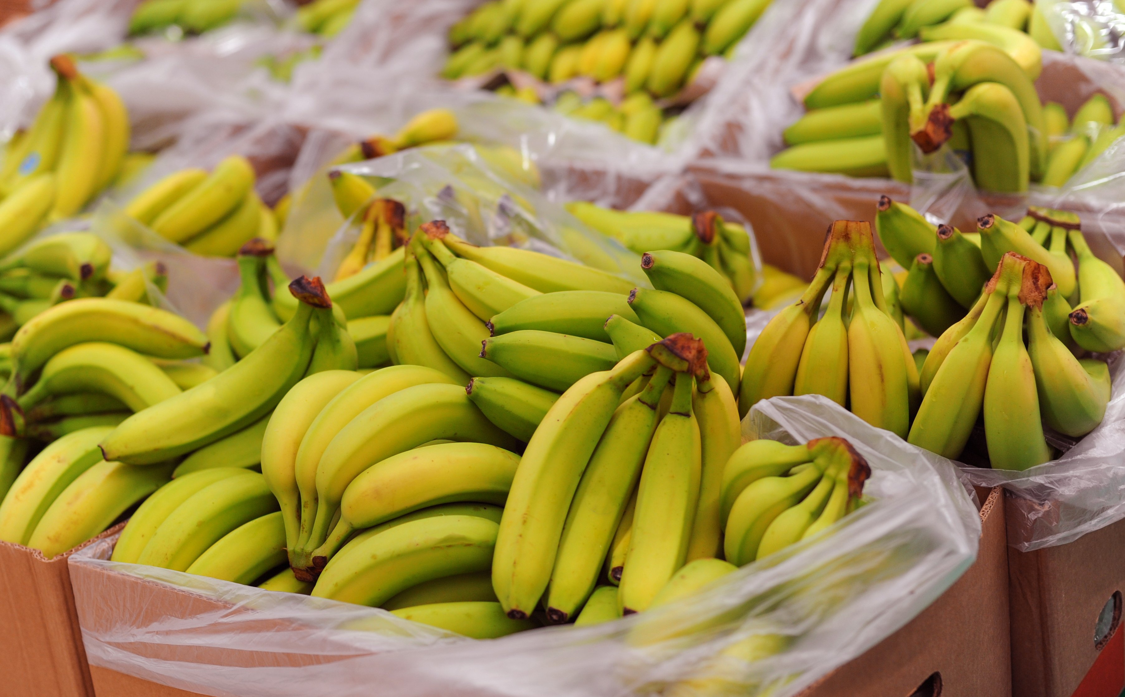 Epoka tanich bananów dobiega końca. Zmiany klimatu zmienią zasady na rynku