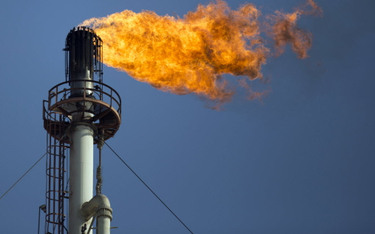 Koncerny nie rezygnują z gazowych inwestycji