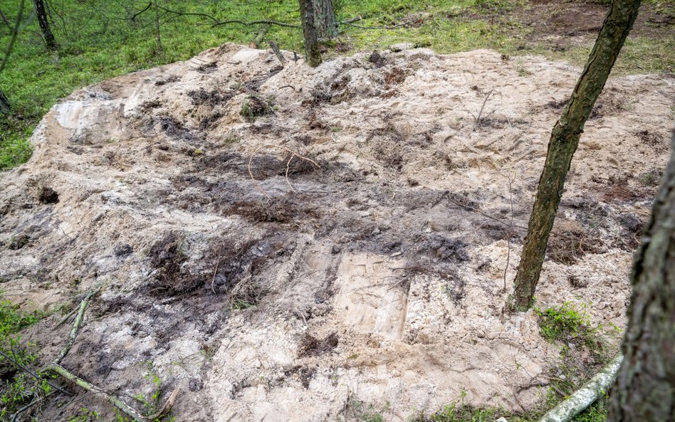 Miejsce znalezienia szczątków "niezidentyfikowanego obiektu wojskowego" w lesie w okolicach miejscow