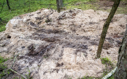 Miejsce znalezienia szczątków "niezidentyfikowanego obiektu wojskowego" w lesie w okolicach miejscow
