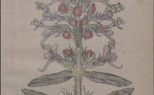 "pierwodruki Wyspiańskiego"