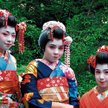 Uczestnicy poranków w Muzeum Azji i Pacyfiku poczują się jak w Japonii – m.in. przymierzą kimona