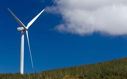 Nowe farmy wiatrowe już w portfelu Energi