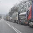 Una cola de camiones en la carretera que conduce al paso fronterizo en Dorohosk