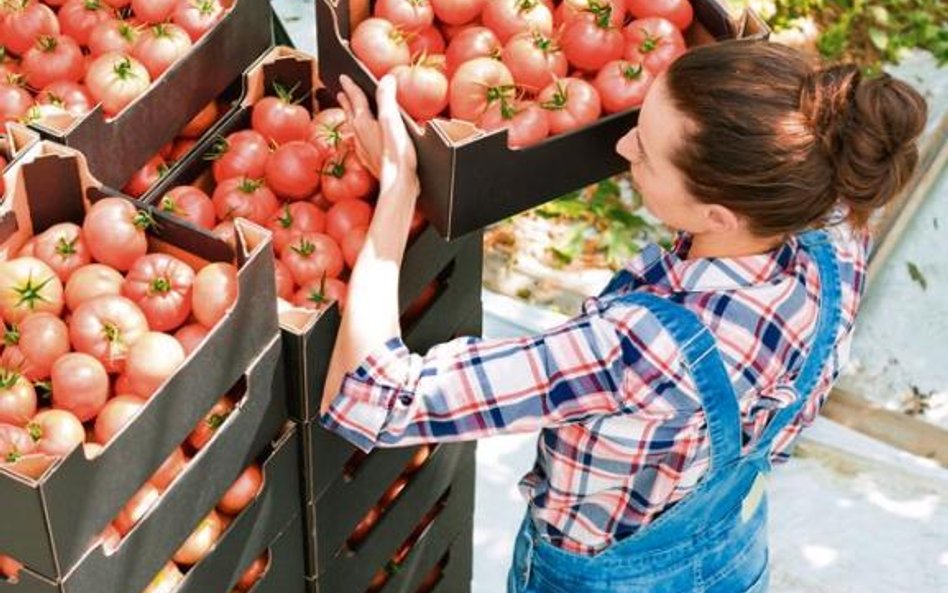 Polacy są gotowi płacić za produkty ekologiczne. Rynek rośnie coraz szybciej