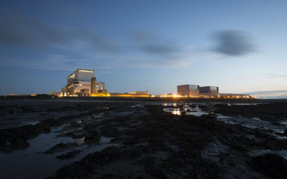 Francuzi zbudują na Wyspach elektrownę atomową