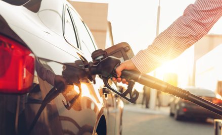 Łukasz Warzecha: Czy Polsce opłaca się walka do upadłego