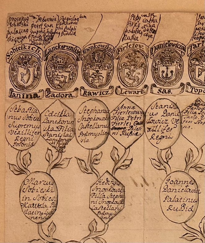 Fragment dokumentu zawierającego wywód przodków Teresy Kunegundy Sobieskiej