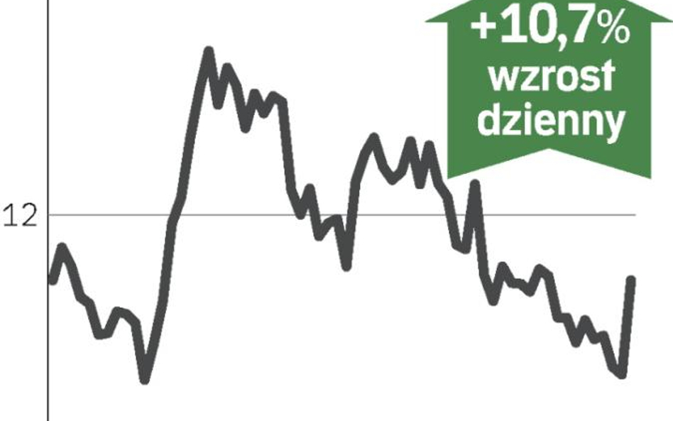 Wysoka sprzedaż wywindowała kurs