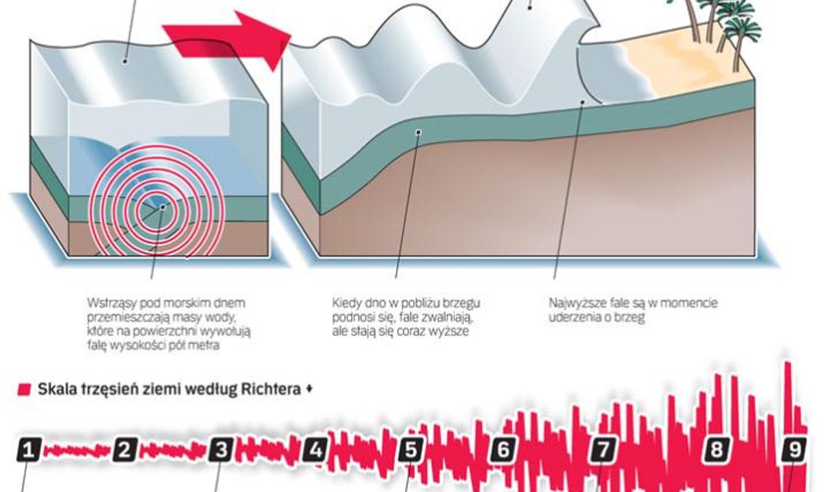 Na Ilustracji Zostało Przedstawione Miejsce Styku Dwóch Płyt Litosfery Japonia - punkt zapalny na styku czterech płyt - rp.pl