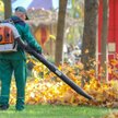 Od 2021 roku zakaz używania dmuchaw do liści na Mazowszu