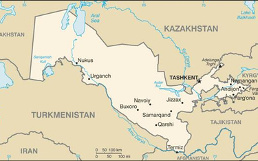Uzbekistan: łapówki w rodzinie prezydenta