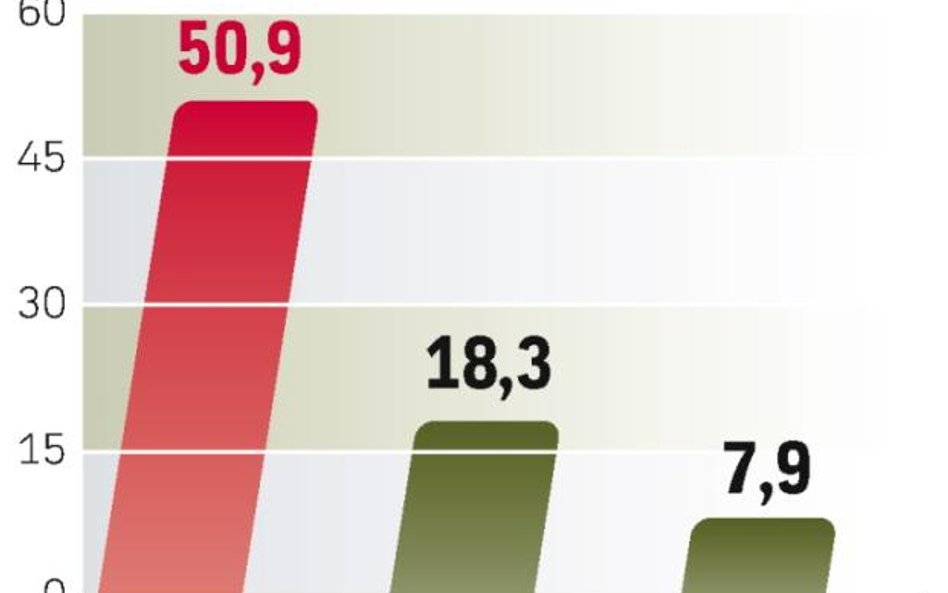 Liderzy krajowego rynku