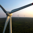 Nie tylko spółki obrotu ucierpią na mrożeniu cen energii. OZE też zagrożone?