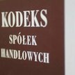 Ułatwienia w prowadzeniu spółek