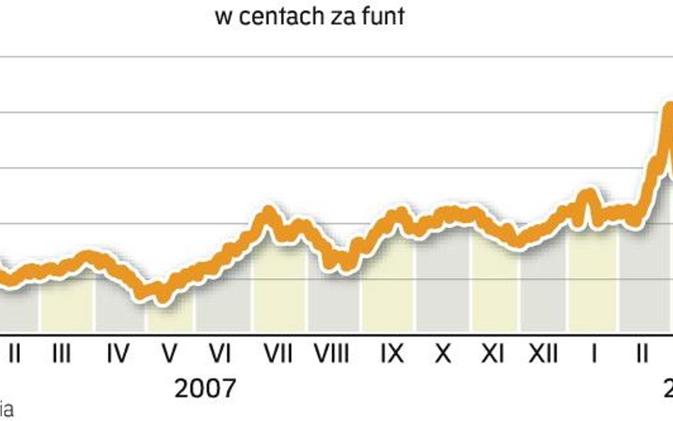 Bawełna jak jedwab