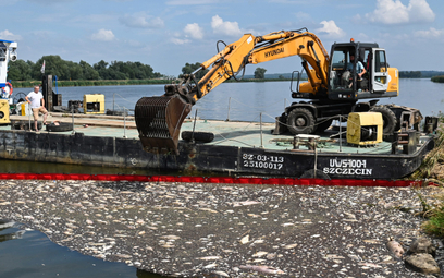 Z zatrutej algami Odry wyłowiono 350 ton martwych ryb. Ocenia się, że rzeczywiste straty mogły być n