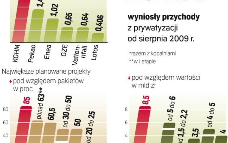 Resort skarbu zaczął realizować obietnice prywatyzacyjne. Jeśli nie straci tempa, ma szansę uzyskać 