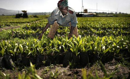 Pol­ski pro­du­cent cią­gni­ków i ma­szyn rol­ni­czych roz­po­czął re­ali­za­cję zy­skow­ne­go, war­