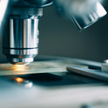 Pure Biologics: Pandemia nie opóźnia