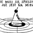 Pion - poziom