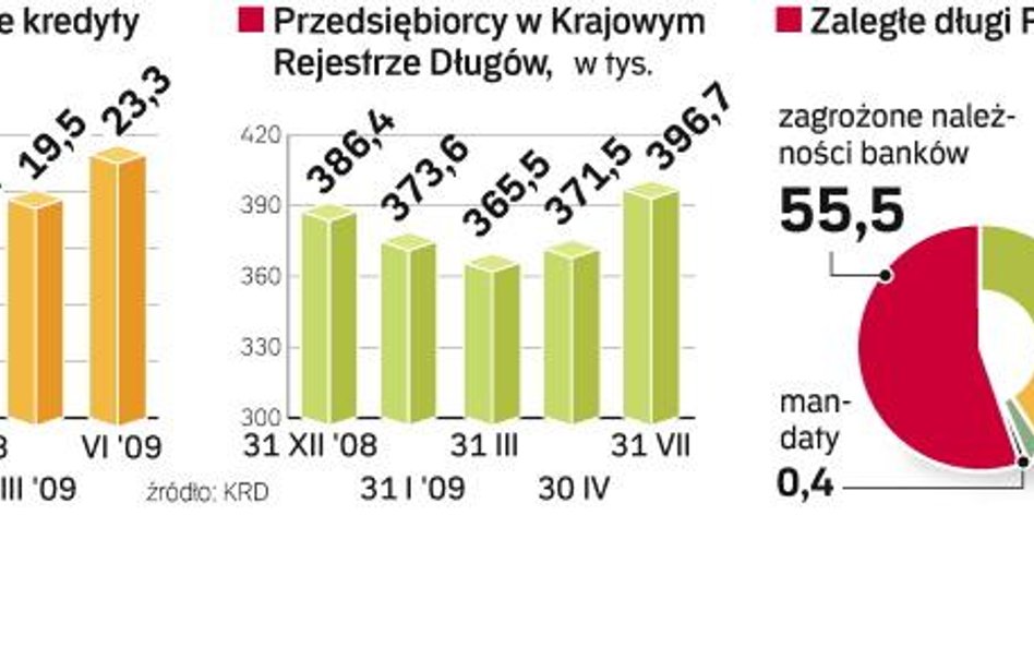 Po chwilowym kwartalnym spadku długi firm zaczęły się zwiększać. Jednym z powodów są słabnące efekty