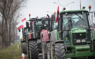 Ukraina wyciąga rękę do polskich rolników. Ale chce embarga na rosyjskie płody rolne