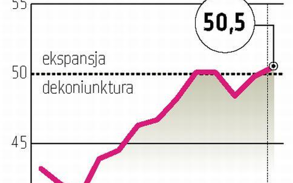 Europa w styczniu nieco wolniej, Ameryka szybciej