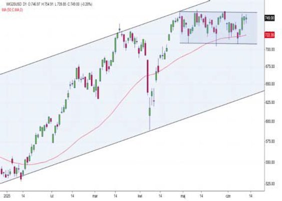 WIG20 USD w stronę szczytu?