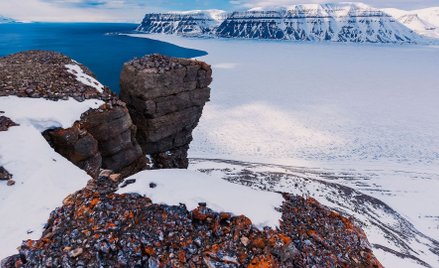 Amundsen. Mięso niedźwiedzia powiesiłem na stojaku