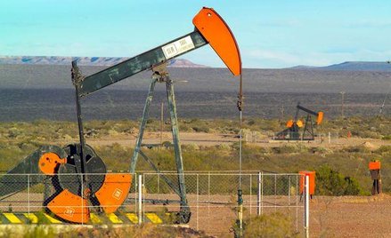 Petrolinvest dostanie nowy zastrzyk