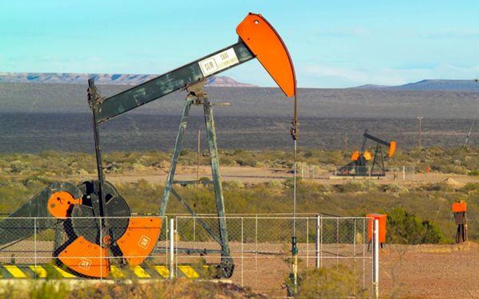 Petrolinvest dostanie nowy zastrzyk