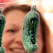 "German Christmas Pickle" staje się popularny także w Niemczech