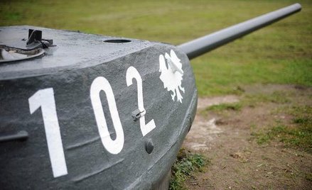 Prawo autorskie - czy inni artyści podzielą los Rodowicz